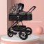 as the picture